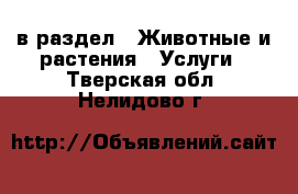  в раздел : Животные и растения » Услуги . Тверская обл.,Нелидово г.